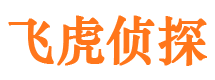 红塔市婚外情调查